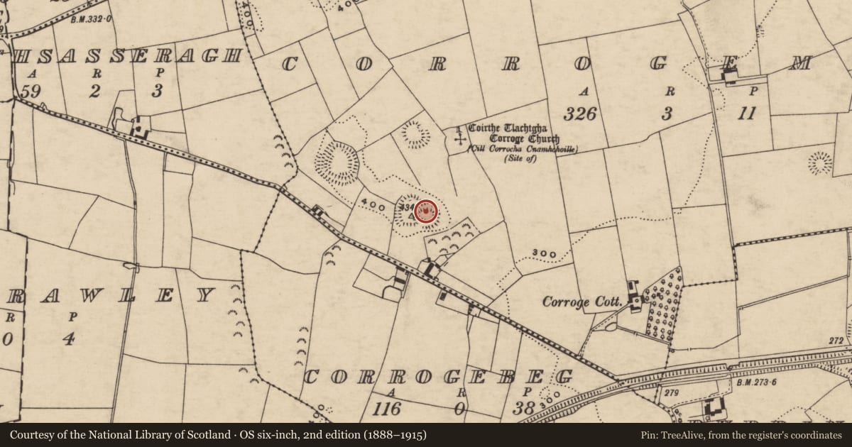 Ordnance Survey six-inch map, 2nd edition (1888–1915) covering the location of Castle - motte and bailey, Corrogemore, County Tipperary South, with a pin at the register's coordinates