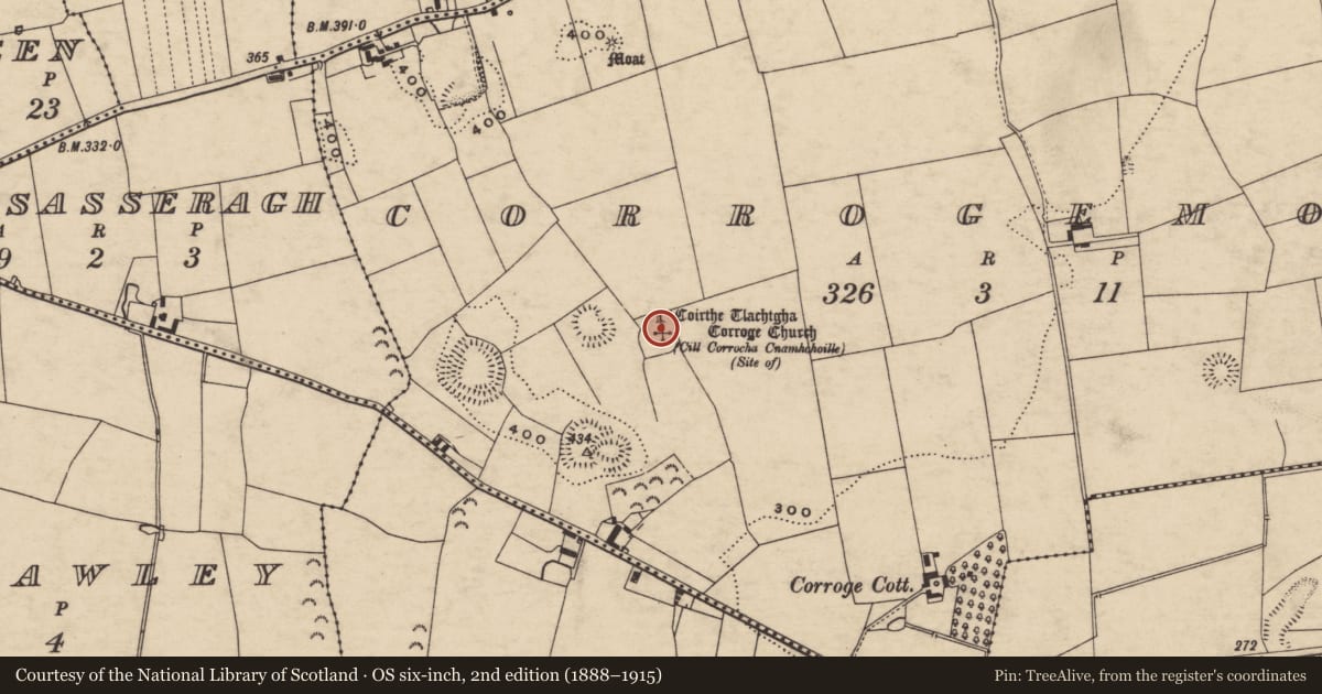 Ordnance Survey six-inch map, 2nd edition (1888–1915) covering the location of Graveyard, Corrogemore, County Tipperary South, with a pin at the register's coordinates