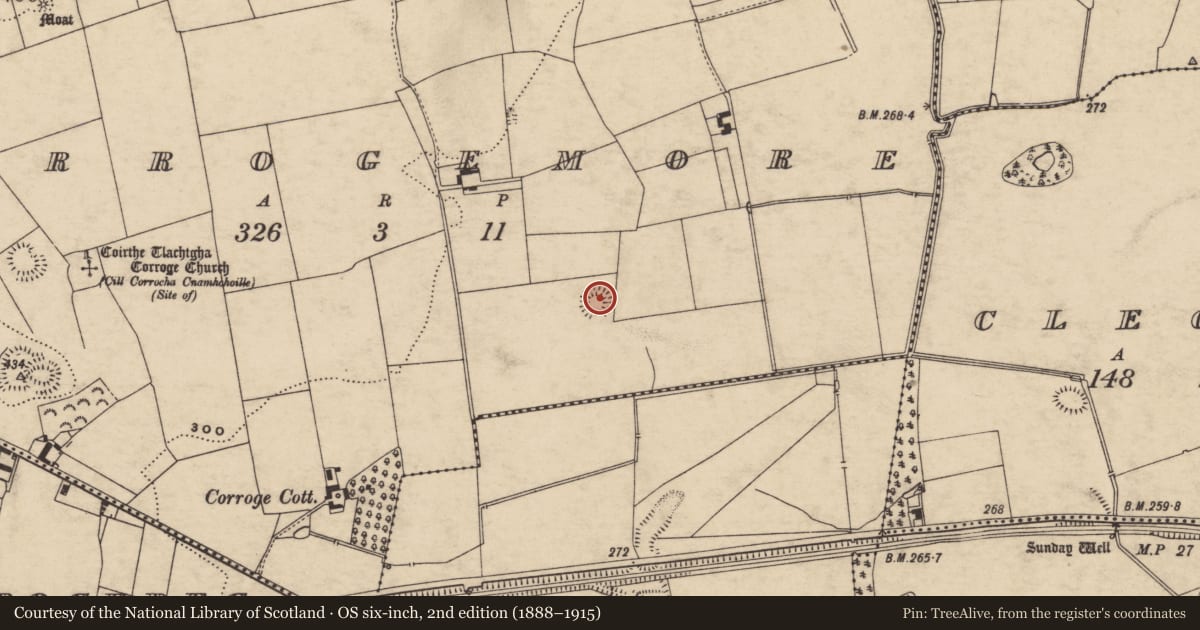 Ordnance Survey six-inch map, 2nd edition (1888–1915) covering the location of Enclosure, Corrogemore, County Tipperary South, with a pin at the register's coordinates
