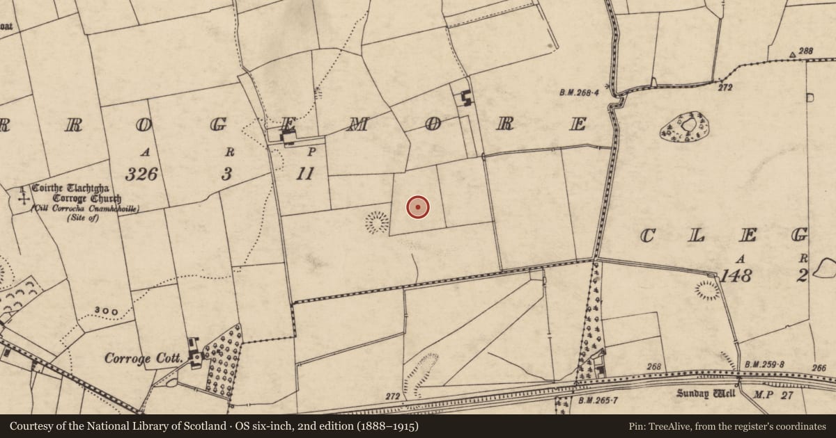 Ordnance Survey six-inch map, 2nd edition (1888–1915) covering the location of Field boundary, Corrogemore, County Tipperary South, with a pin at the register's coordinates