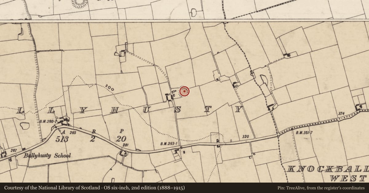 Ordnance Survey six-inch map, 2nd edition (1888–1915) covering the location of Ringfort - rath, Ballyhusty, County Tipperary South, with a pin at the register's coordinates