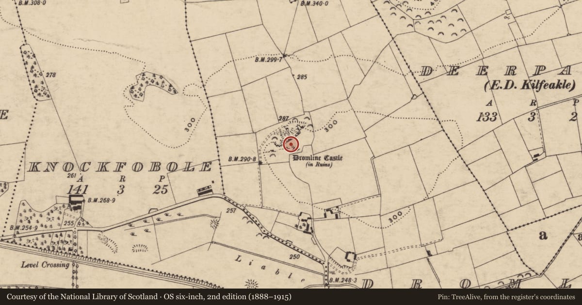 Ordnance Survey six-inch map, 2nd edition (1888–1915) covering the location of Castle - unclassified, Dromline, County Tipperary South, with a pin at the register's coordinates