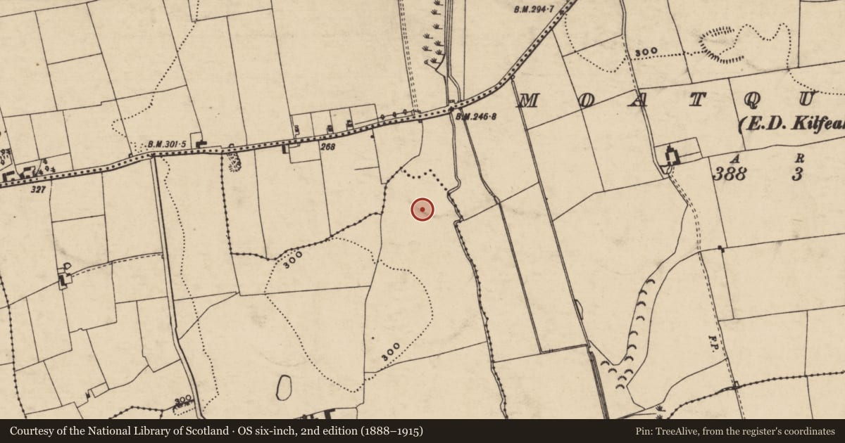 Ordnance Survey six-inch map, 2nd edition (1888–1915) covering the location of Earthwork, Knockballynoe East, Moatquarter (Kilfeakle Par.), County Tipperary South, with a pin at the register's coordinates