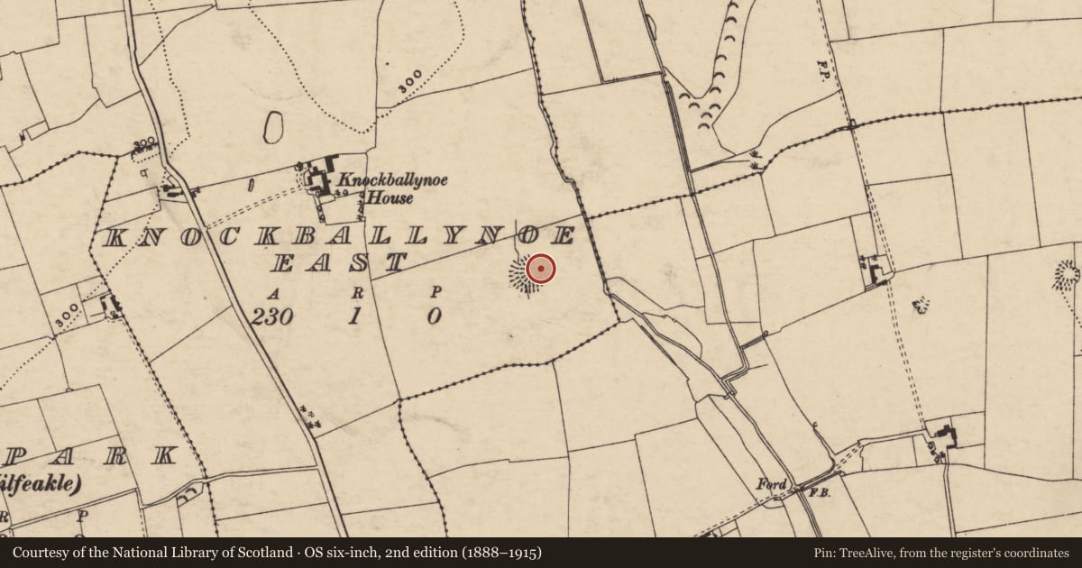 Ordnance Survey six-inch map, 2nd edition (1888–1915) covering the location of Enclosure, Knockballynoe East, County Tipperary South, with a pin at the register's coordinates