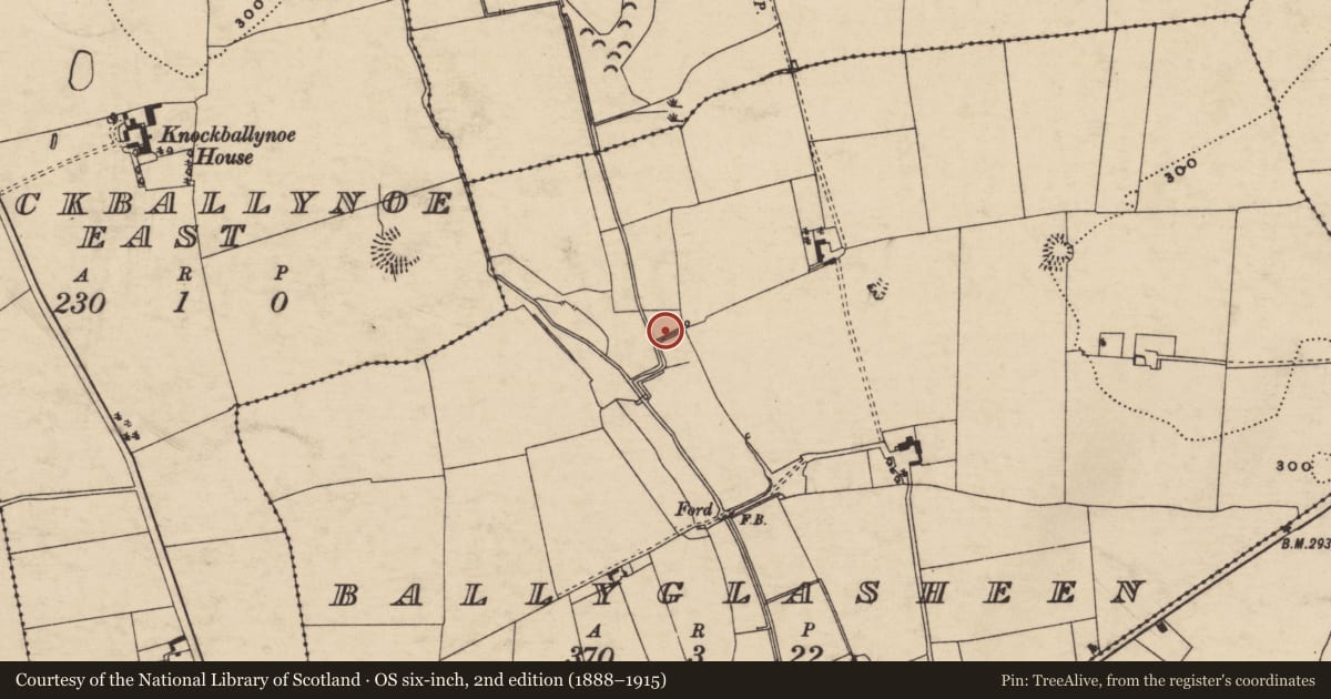 Ordnance Survey six-inch map, 2nd edition (1888–1915) covering the location of Fulacht fia, Ballyglasheen (Kilfeakle Par.), County Tipperary South, with a pin at the register's coordinates