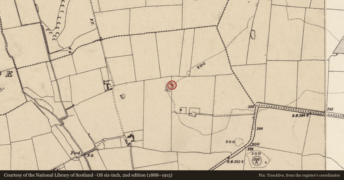 Ordnance Survey six-inch map, 2nd edition (1888–1915) covering the location of Ringfort - rath, Ballyglasheen (Kilfeakle Par.), County Tipperary South, with a pin at the register's coordinates