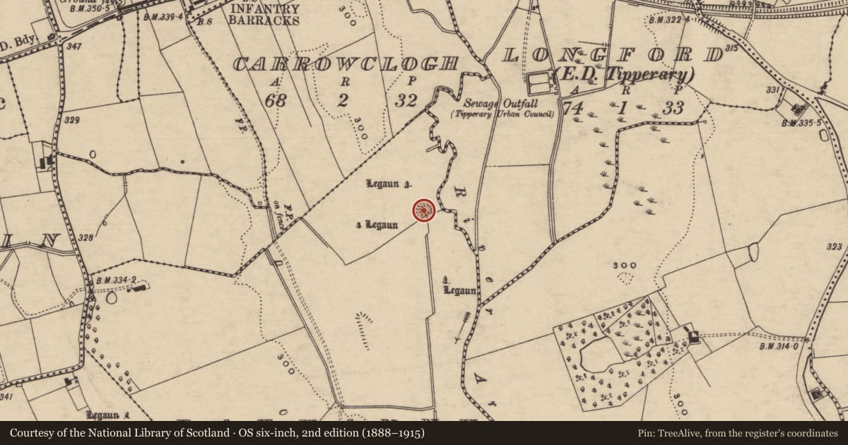 Ordnance Survey six-inch map, 2nd edition (1888–1915) covering the location of Ringfort - rath, Rathanny, County Tipperary South, with a pin at the register's coordinates