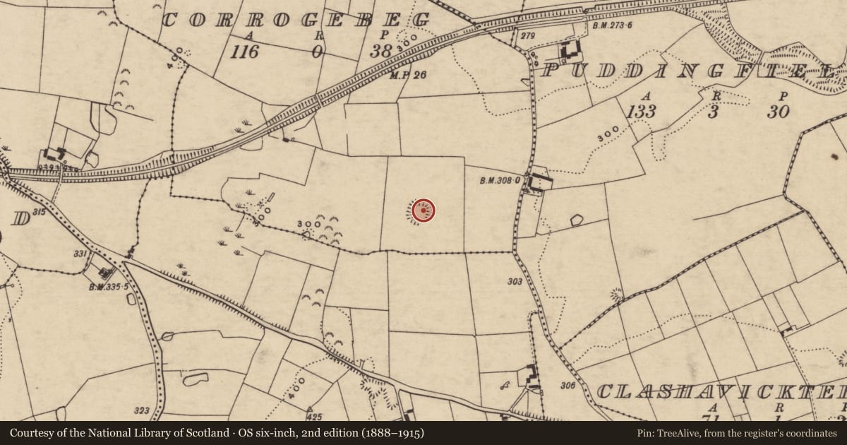 Ordnance Survey six-inch map, 2nd edition (1888–1915) covering the location of Ringfort - rath, Corrogebeg, County Tipperary South, with a pin at the register's coordinates
