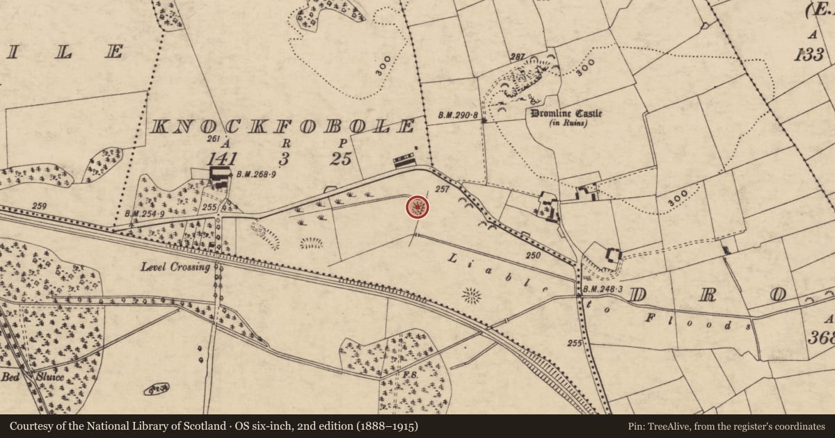 Ordnance Survey six-inch map, 2nd edition (1888–1915) covering the location of Mound, Knockfobole, County Tipperary South, with a pin at the register's coordinates