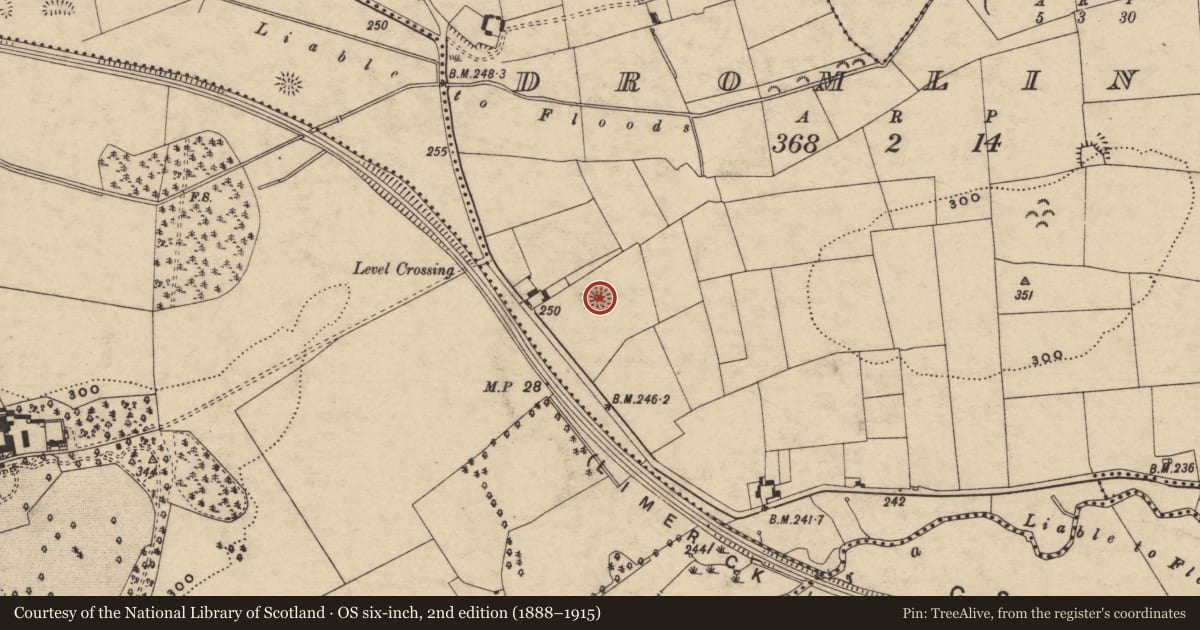Ordnance Survey six-inch map, 2nd edition (1888–1915) covering the location of Moated site, Dromline, County Tipperary South, with a pin at the register's coordinates