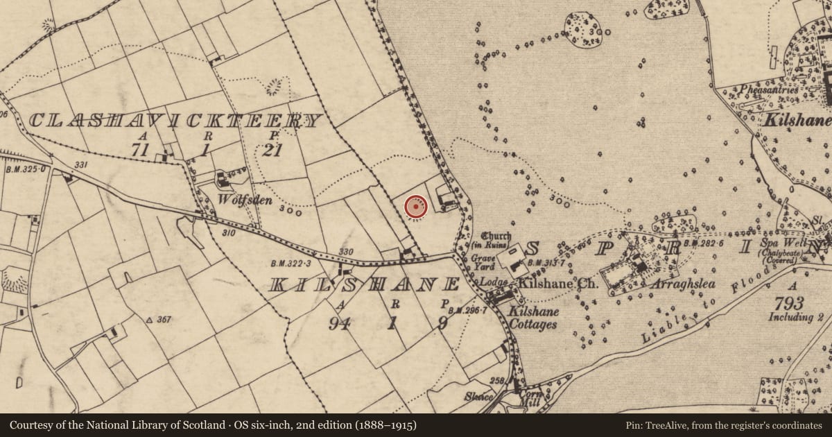 Ordnance Survey six-inch map, 2nd edition (1888–1915) covering the location of Ringfort - rath, Kilshane, County Tipperary South, with a pin at the register's coordinates