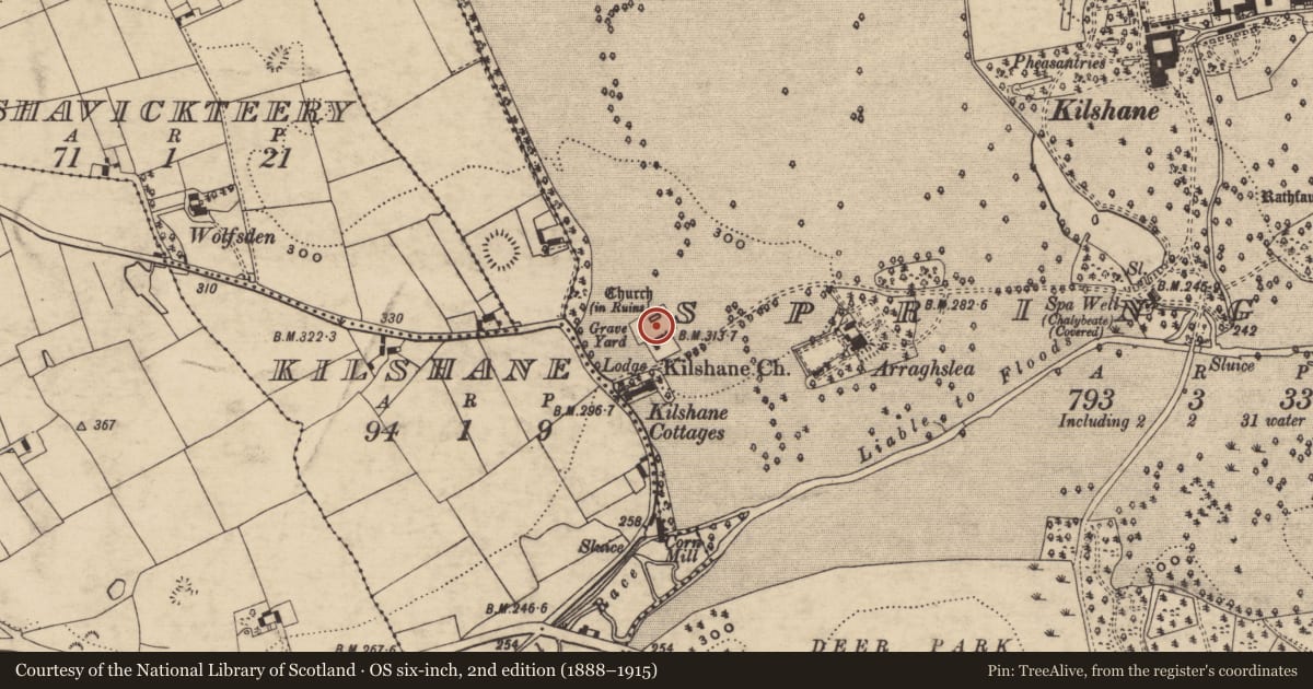 Ordnance Survey six-inch map, 2nd edition (1888–1915) covering the location of Graveyard, Springhouse, County Tipperary South, with a pin at the register's coordinates