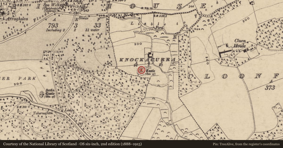 Ordnance Survey six-inch map, 2nd edition (1888–1915) covering the location of Castle - unclassified, Knockacurra, County Tipperary South, with a pin at the register's coordinates