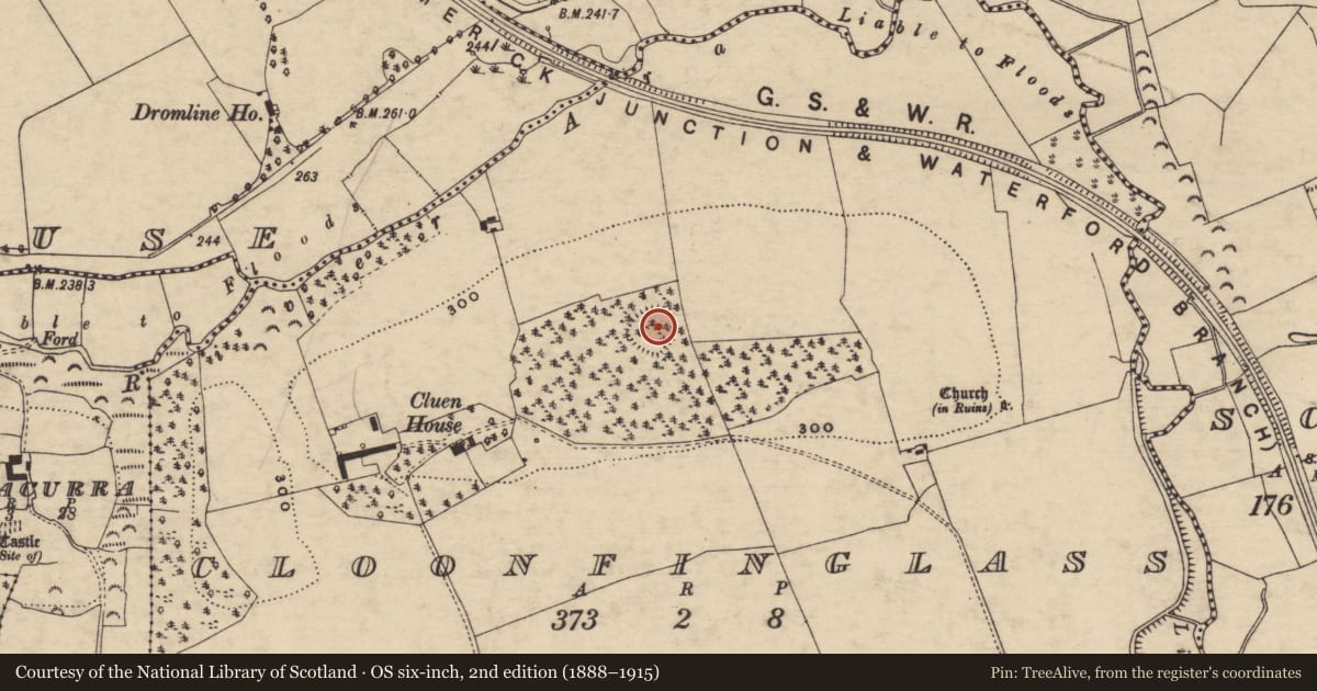 Ordnance Survey six-inch map, 2nd edition (1888–1915) covering the location of Enclosure, Cloonfinglass, County Tipperary South, with a pin at the register's coordinates