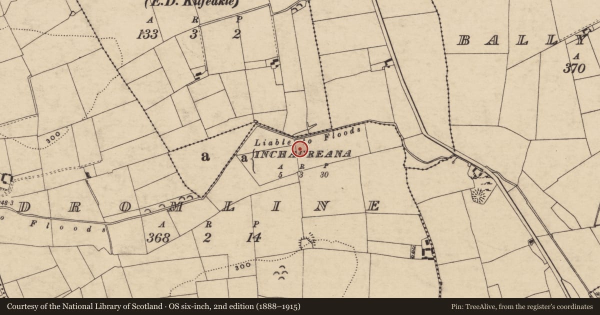 Ordnance Survey six-inch map, 2nd edition (1888–1915) covering the location of Fulacht fia, Dromline, County Tipperary South, with a pin at the register's coordinates