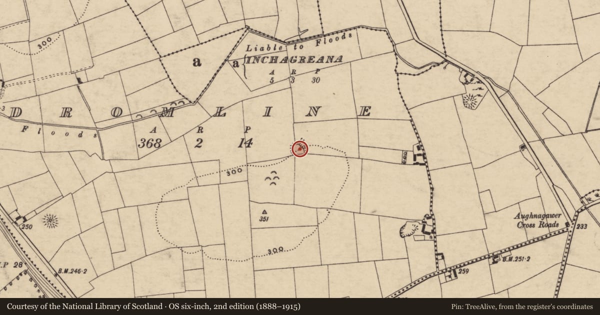 Ordnance Survey six-inch map, 2nd edition (1888–1915) covering the location of Enclosure, Dromline, County Tipperary South, with a pin at the register's coordinates
