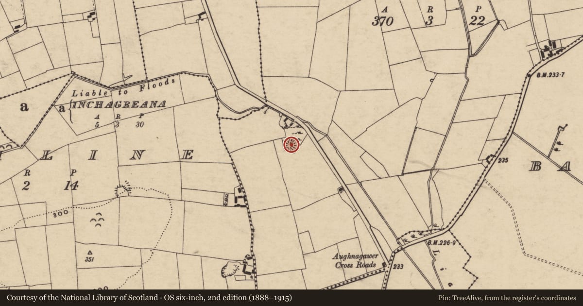 Ordnance Survey six-inch map, 2nd edition (1888–1915) covering the location of Enclosure, Ballyglasheen (Kilfeakle Par.), County Tipperary South, with a pin at the register's coordinates
