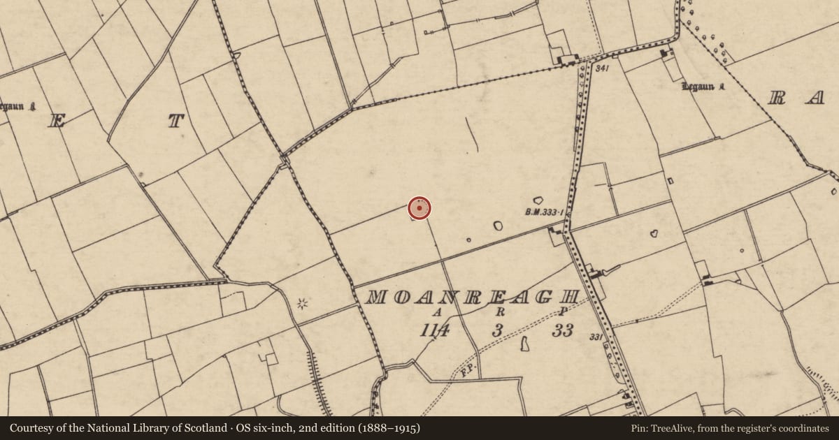 Ordnance Survey six-inch map, 2nd edition (1888–1915) covering the location of Enclosure, Moanreagh (Clonpet Par.), County Tipperary South, with a pin at the register's coordinates