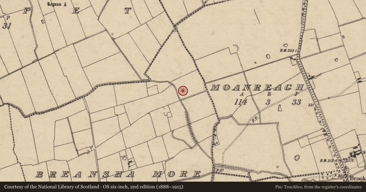 Ordnance Survey six-inch map, 2nd edition (1888–1915) covering the location of Mound, Breansha More, County Tipperary South, with a pin at the register's coordinates