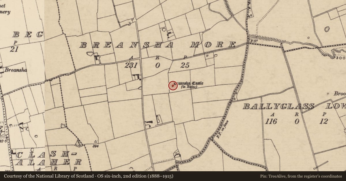 Ordnance Survey six-inch map, 2nd edition (1888–1915) covering the location of Bawn, Breansha More, County Tipperary South, with a pin at the register's coordinates