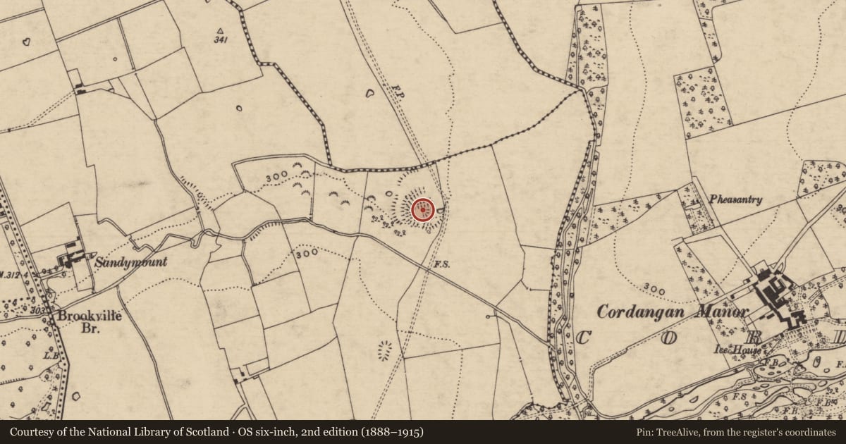 Ordnance Survey six-inch map, 2nd edition (1888–1915) covering the location of Enclosure, Gortaknockeare, County Tipperary South, with a pin at the register's coordinates