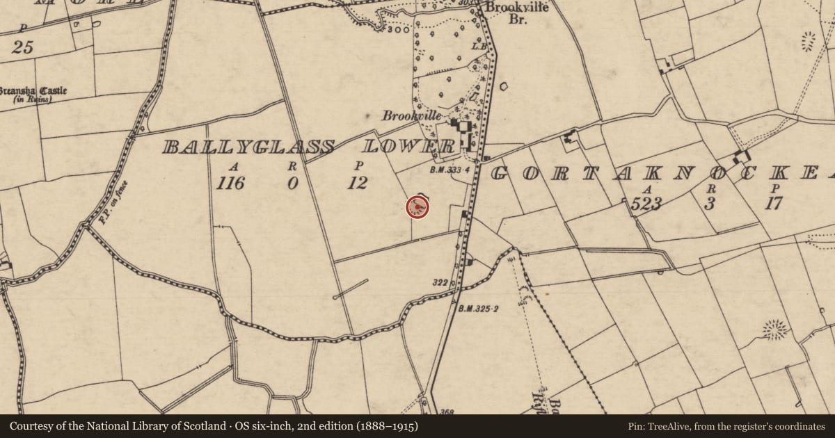 Ordnance Survey six-inch map, 2nd edition (1888–1915) covering the location of Enclosure, Ballyglass Lower (Clonpet Par.), Ballyglass Lower (Cordangan Par.), County Tipperary South, with a pin at the register's coordinates