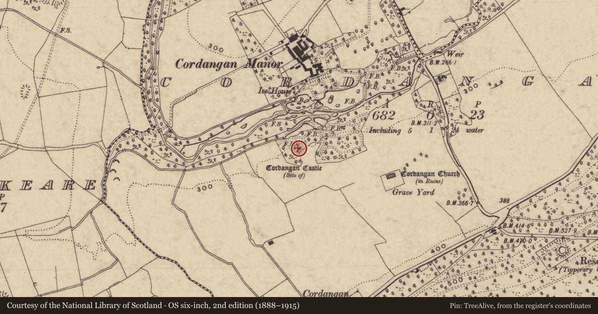 Ordnance Survey six-inch map, 2nd edition (1888–1915) covering the location of Castle - unclassified, Cordangan, County Tipperary South, with a pin at the register's coordinates