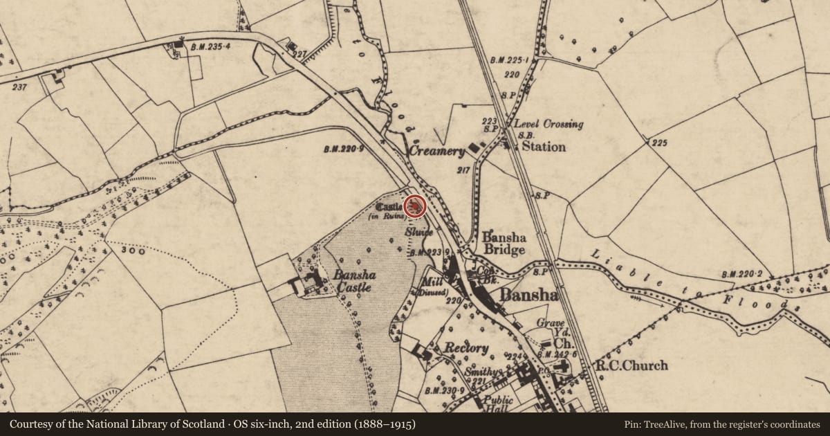 Ordnance Survey six-inch map, 2nd edition (1888–1915) covering the location of Castle - unclassified, Bansha West, County Tipperary South, with a pin at the register's coordinates