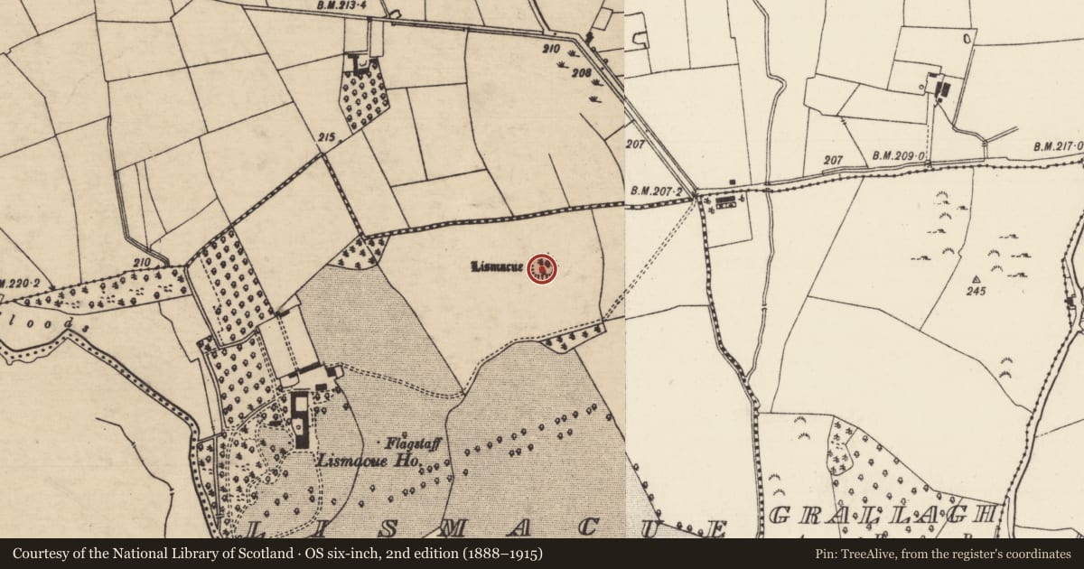 Ordnance Survey six-inch map, 2nd edition (1888–1915) covering the location of Enclosure, Lismacue, County Tipperary South, with a pin at the register's coordinates