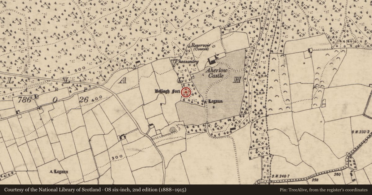 Ordnance Survey six-inch map, 2nd edition (1888–1915) covering the location of Enclosure, Ballagh (Templeneiry Par.), County Tipperary South, with a pin at the register's coordinates