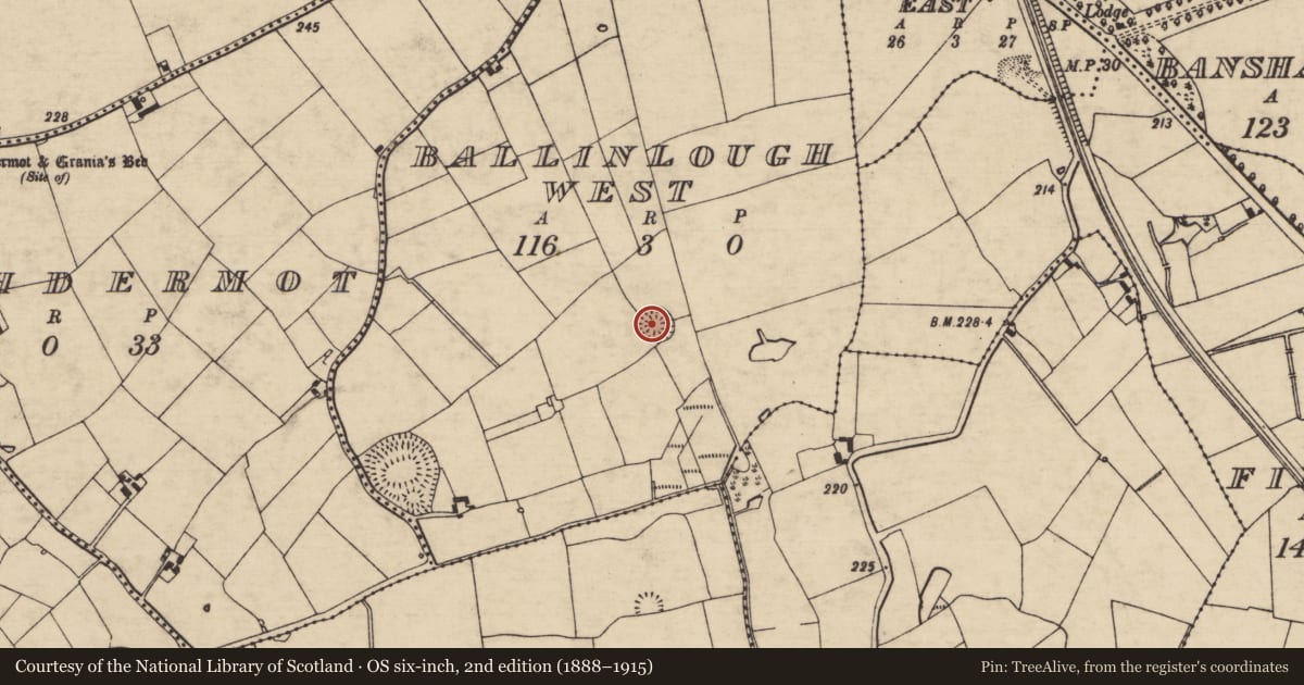 Ordnance Survey six-inch map, 2nd edition (1888–1915) covering the location of Ringfort - rath, Ballinlough West, County Tipperary South, with a pin at the register's coordinates