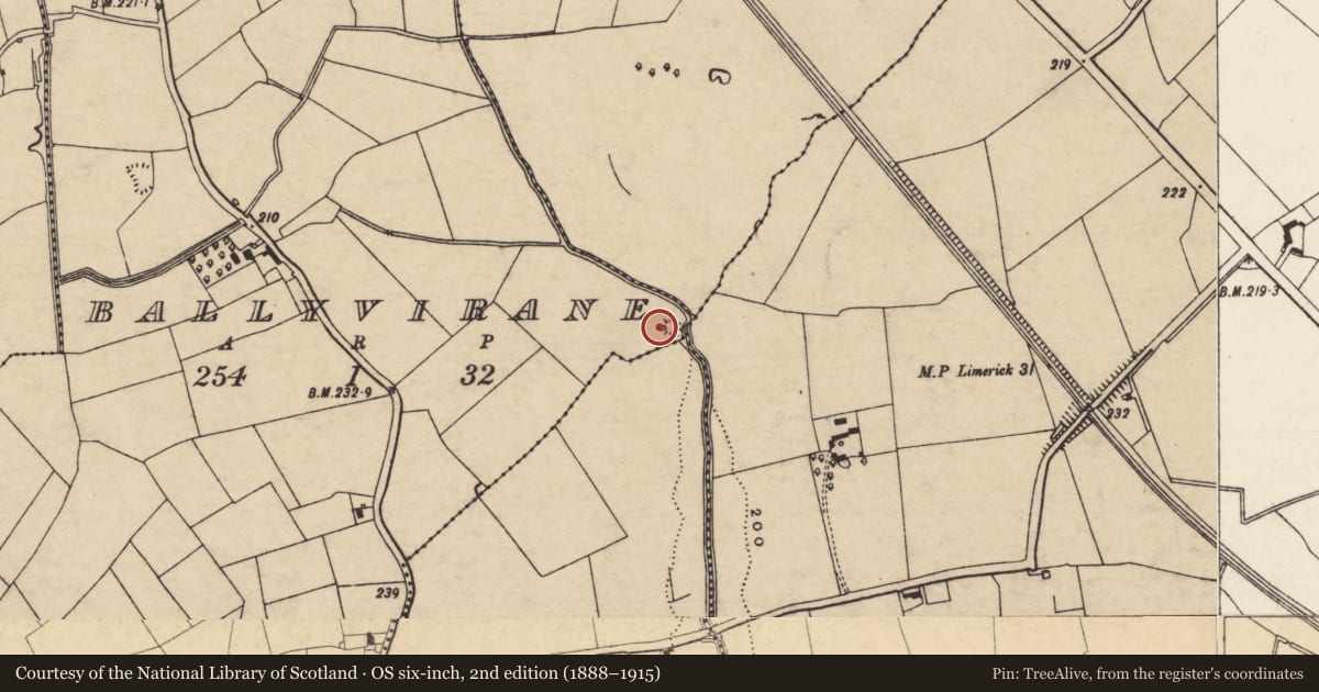 Ordnance Survey six-inch map, 2nd edition (1888–1915) covering the location of Mound, Ballyvirane, County Tipperary South, with a pin at the register's coordinates