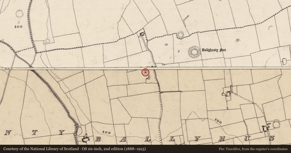 Ordnance Survey six-inch map, 2nd edition (1888–1915) covering the location of Moated site, Ballyhusty, County Tipperary South, with a pin at the register's coordinates