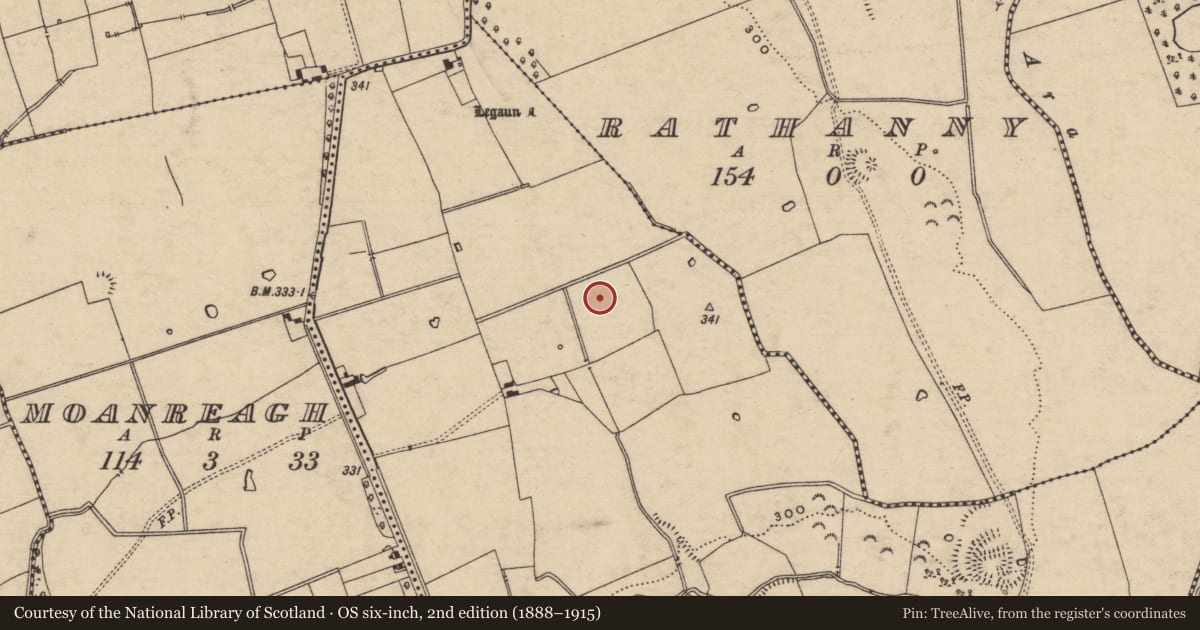 Ordnance Survey six-inch map, 2nd edition (1888–1915) covering the location of Enclosure, Gortaknockeare, County Tipperary South, with a pin at the register's coordinates