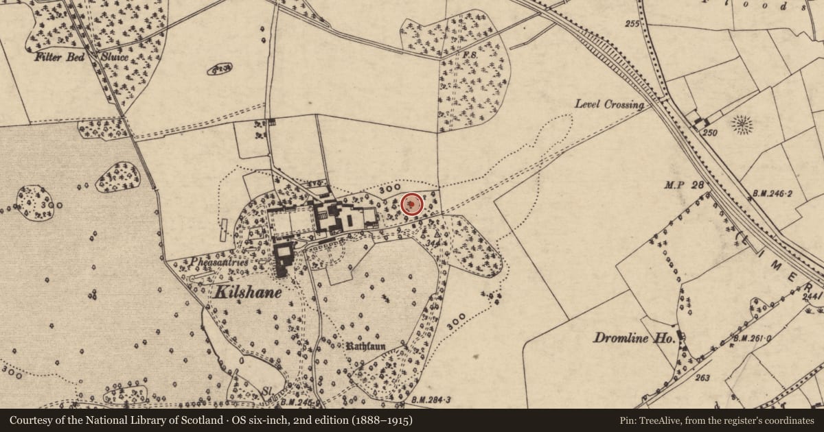 Ordnance Survey six-inch map, 2nd edition (1888–1915) covering the location of Enclosure, Springhouse, County Tipperary South, with a pin at the register's coordinates