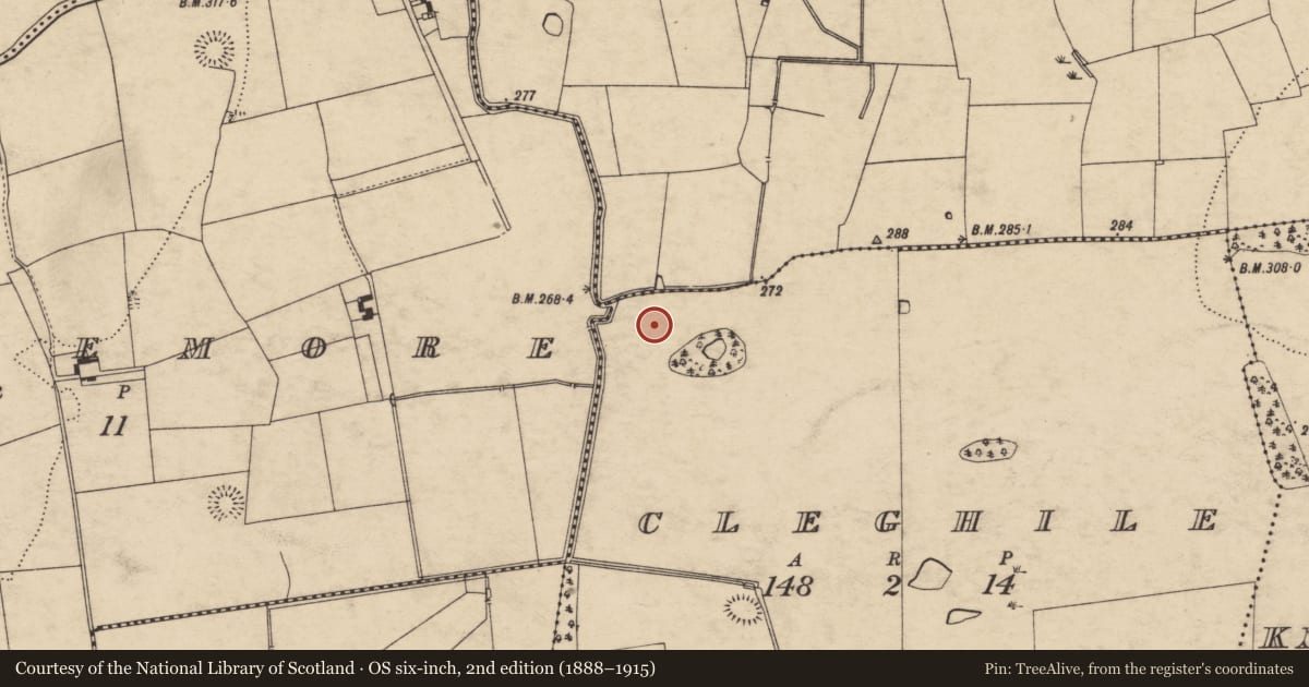 Ordnance Survey six-inch map, 2nd edition (1888–1915) covering the location of Enclosure, Cleghile, County Tipperary South, with a pin at the register's coordinates