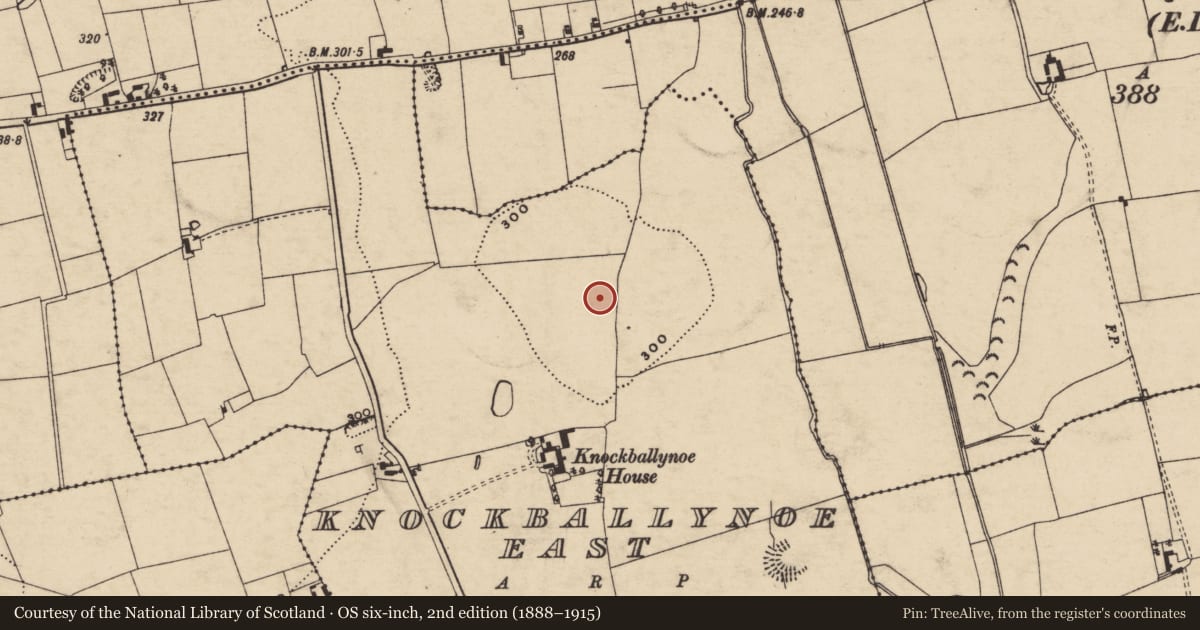 Ordnance Survey six-inch map, 2nd edition (1888–1915) covering the location of Enclosure, Knockballynoe East, County Tipperary South, with a pin at the register's coordinates