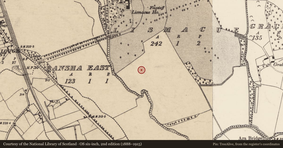 Ordnance Survey six-inch map, 2nd edition (1888–1915) covering the location of Enclosure, Lismacue, County Tipperary South, with a pin at the register's coordinates