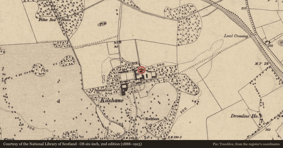 Ordnance Survey six-inch map, 2nd edition (1888–1915) covering the location of Sheela-na-gig (present location), Springhouse, County Tipperary South, with a pin at the register's coordinates