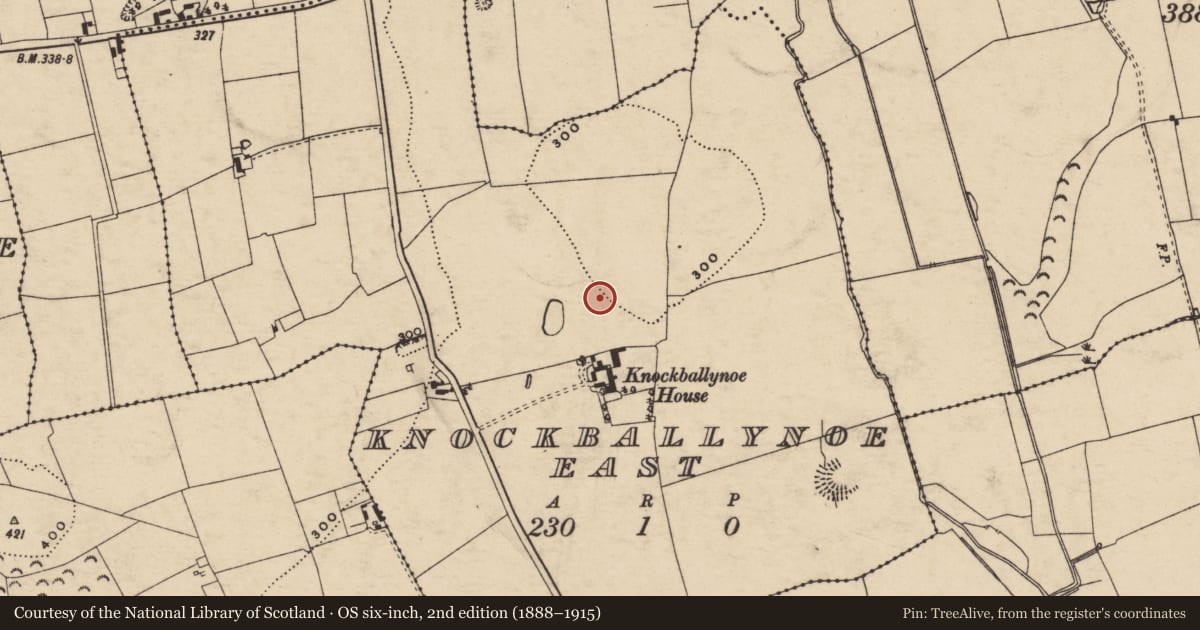 Ordnance Survey six-inch map, 2nd edition (1888–1915) covering the location of Standing stone, Knockballynoe East, County Tipperary South, with a pin at the register's coordinates