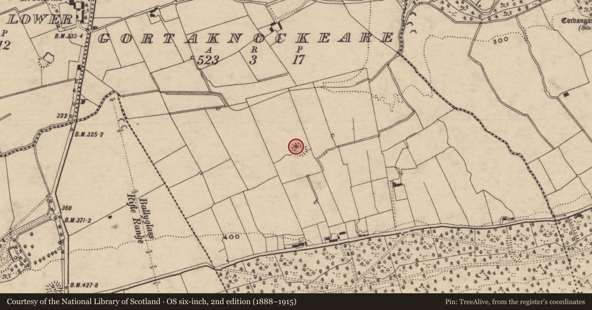 Ordnance Survey six-inch map, 2nd edition (1888–1915) covering the location of Standing stone, Gortaknockeare, County Tipperary South, with a pin at the register's coordinates