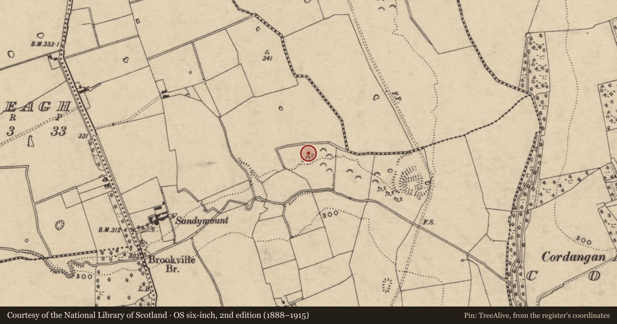 Ordnance Survey six-inch map, 2nd edition (1888–1915) covering the location of Enclosure, Gortaknockeare, County Tipperary South, with a pin at the register's coordinates