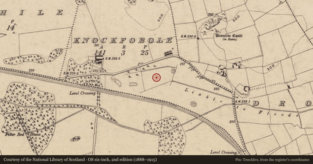 Ordnance Survey six-inch map, 2nd edition (1888–1915) covering the location of Fulacht fia, Knockfobole, County Tipperary South, with a pin at the register's coordinates