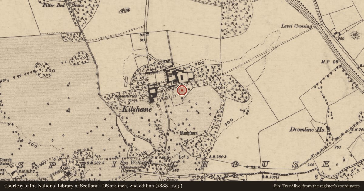 Ordnance Survey six-inch map, 2nd edition (1888–1915) covering the location of Burial ground, Springhouse, County Tipperary South, with a pin at the register's coordinates