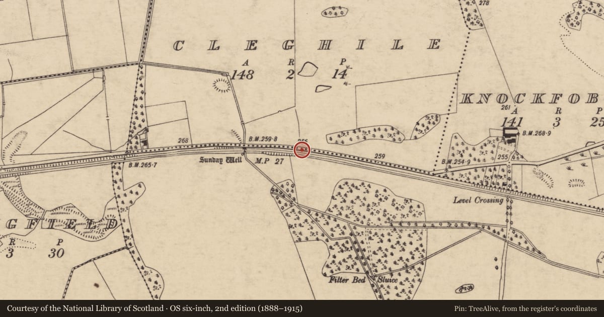 Ordnance Survey six-inch map, 2nd edition (1888–1915) covering the location of Burial, Cleghile, County Tipperary South, with a pin at the register's coordinates