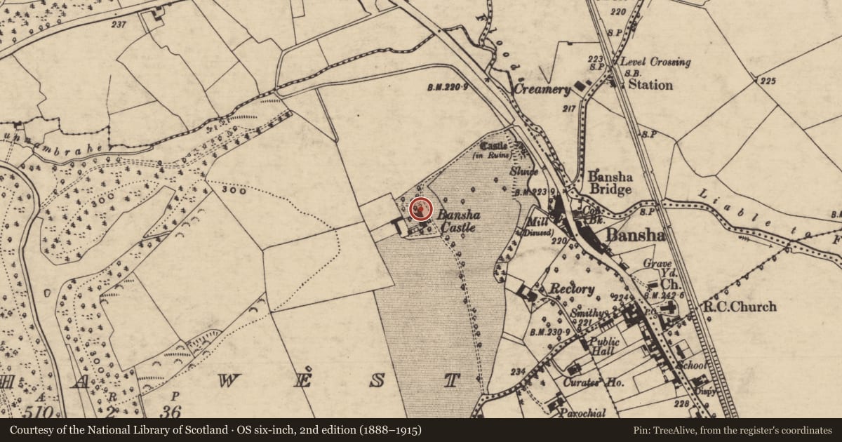 Ordnance Survey six-inch map, 2nd edition (1888–1915) covering the location of Armorial plaque, Bansha West, County Tipperary South, with a pin at the register's coordinates
