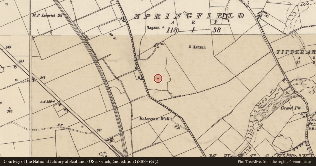 Ordnance Survey six-inch map, 2nd edition (1888–1915) covering the location of Standing stone, Springfield (Tipperary Par.), County Tipperary South, with a pin at the register's coordinates