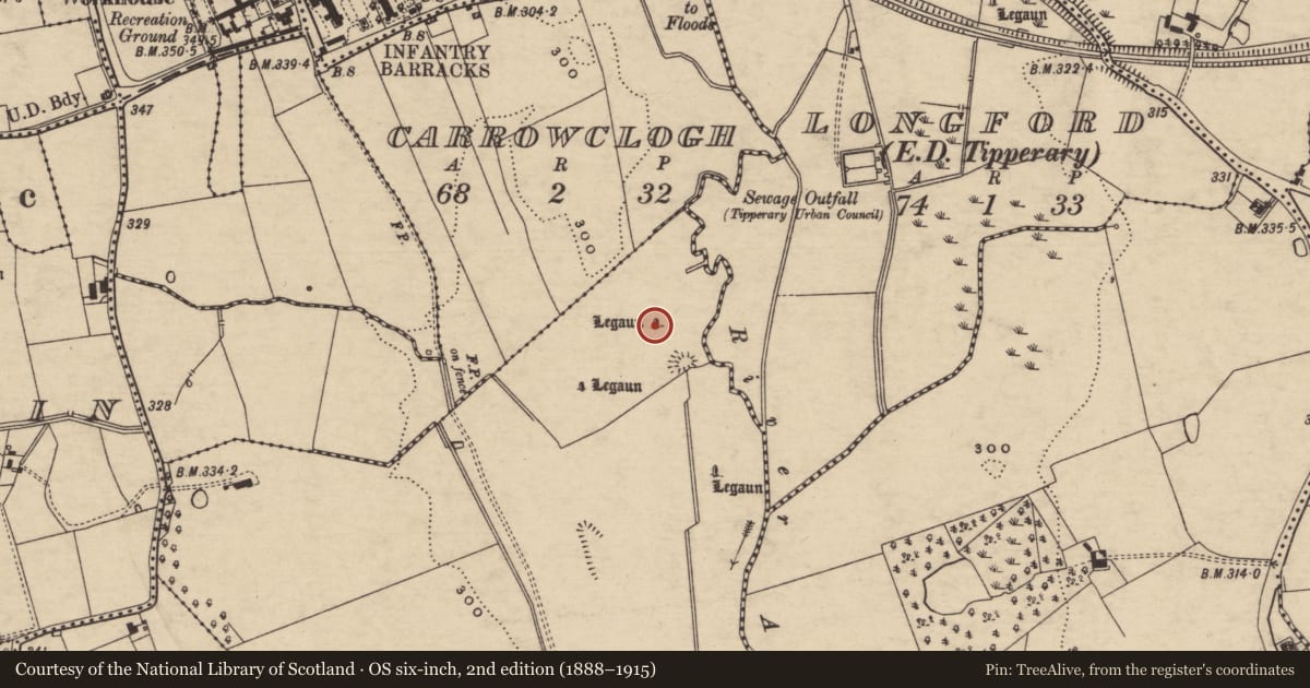 Ordnance Survey six-inch map, 2nd edition (1888–1915) covering the location of Standing stone, Rathanny, County Tipperary South, with a pin at the register's coordinates