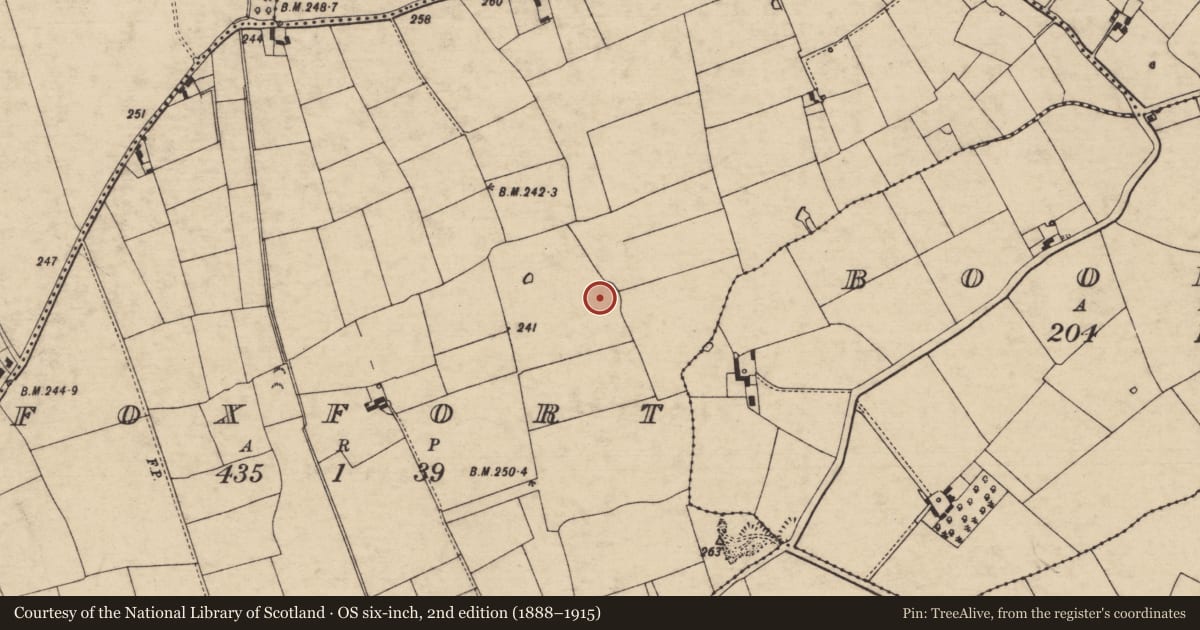 Ordnance Survey six-inch map, 2nd edition (1888–1915) covering the location of Enclosure, Foxfort, County Tipperary South, with a pin at the register's coordinates