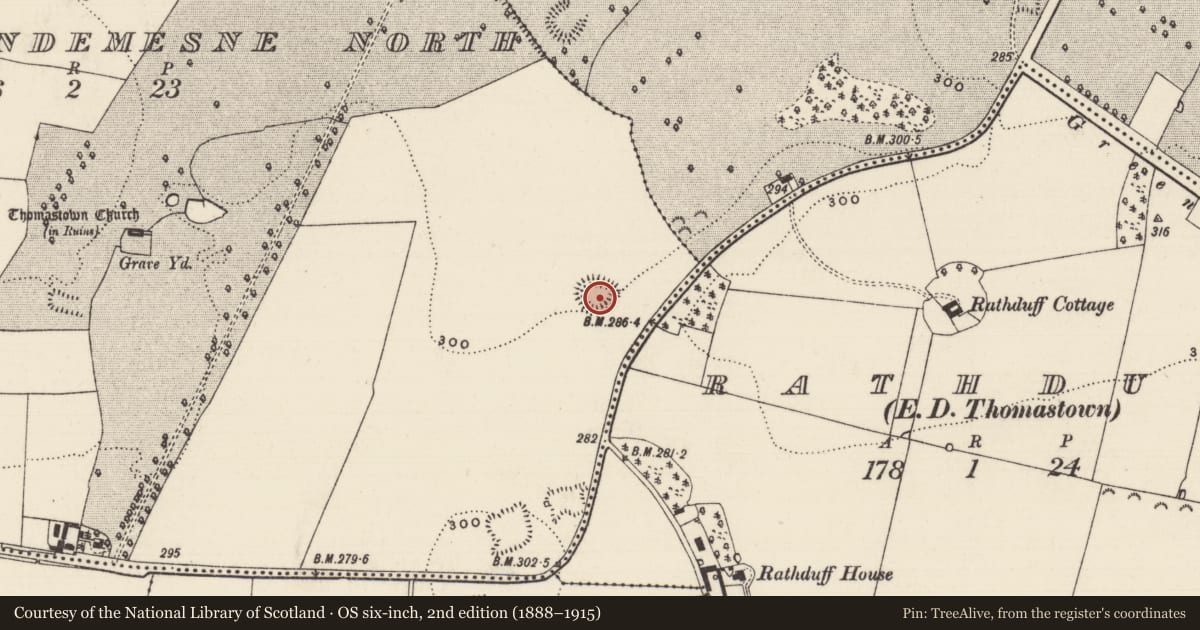 Ordnance Survey six-inch map, 2nd edition (1888–1915) covering the location of Enclosure, Thomastown Demesne North, County Tipperary South, with a pin at the register's coordinates